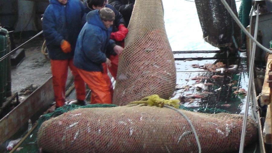 La pesca argentina de langostinos20250619