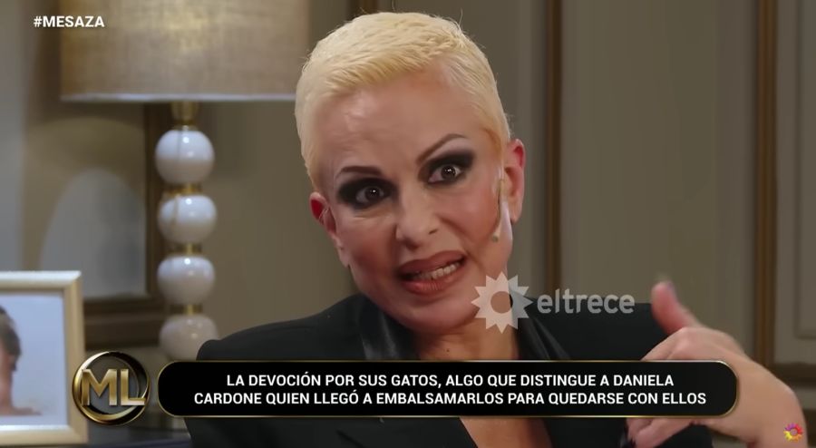 Daniela Cardone reveló que embalsamó a tres de sus gatos fallecidos