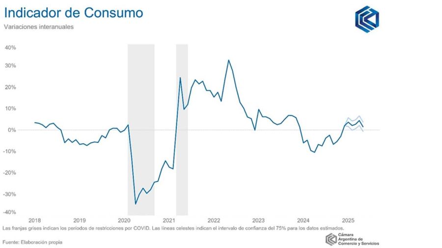 Consumo en hogares20250624