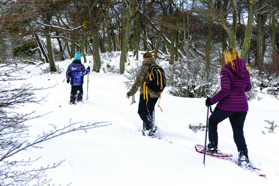 0625_nieve