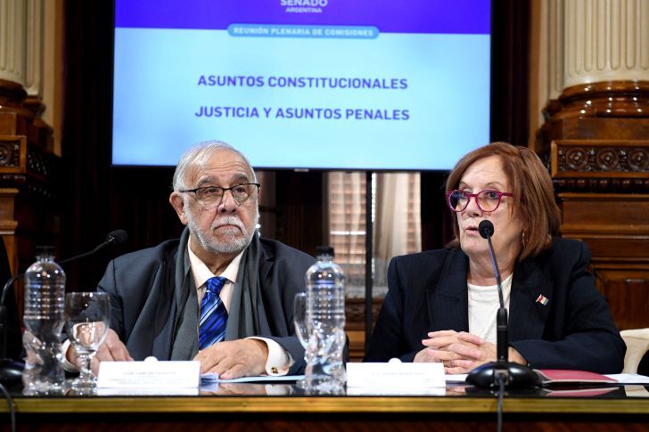 25-06-2025 Senado comisión ampliación de la Corte Suprema Vigo Pagotto