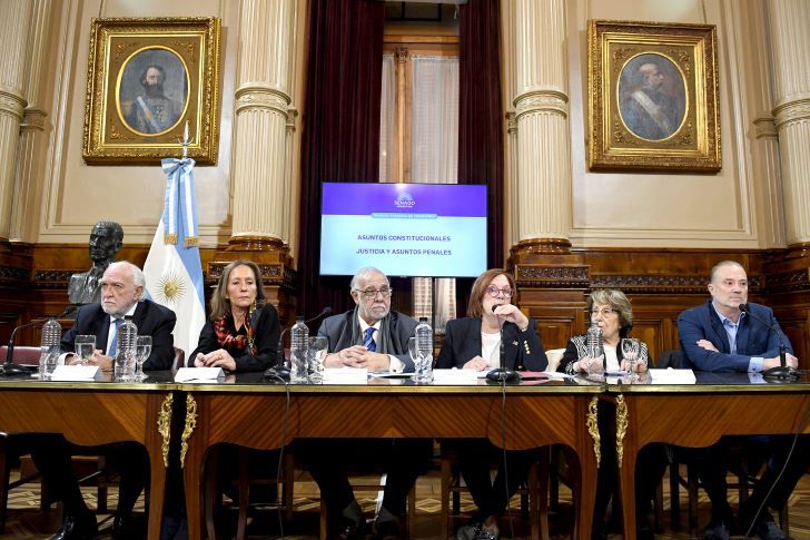 25-06-2025 Senado comisión ampliación de la Corte Suprema Vigo Pagotto