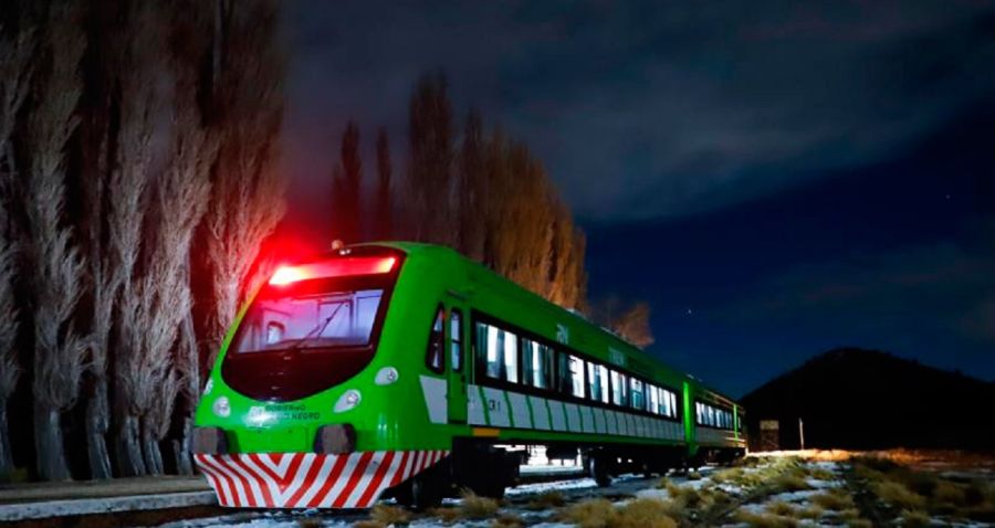 2506_tren patagonico