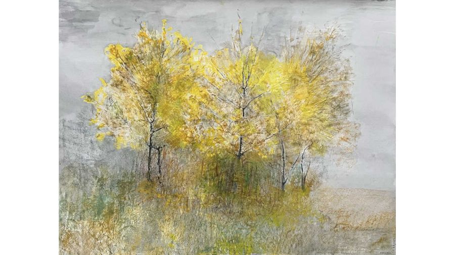 Recuerdos de la selva y de árboles amarillos de Roberto Tabbush 20250625