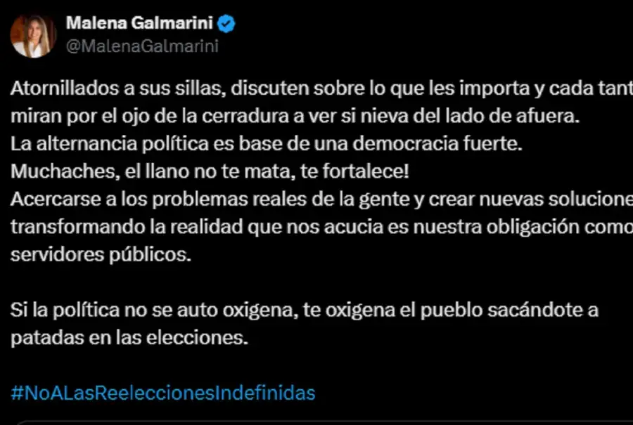 Reelección indefinida legisladores bonaerenses