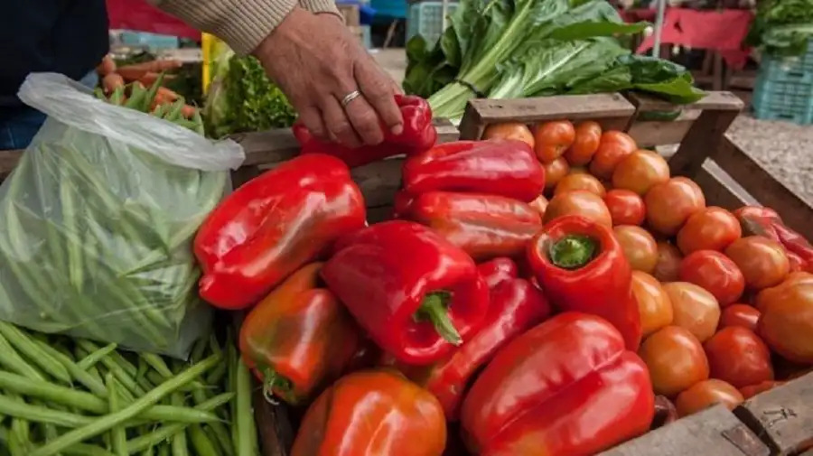 Verduras