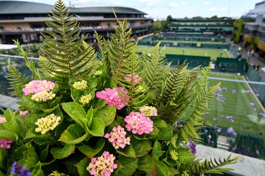 Wimbledon