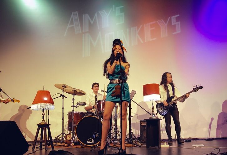 Amy Monkeys
