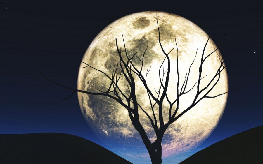 Luna Llena en Julio del 2025