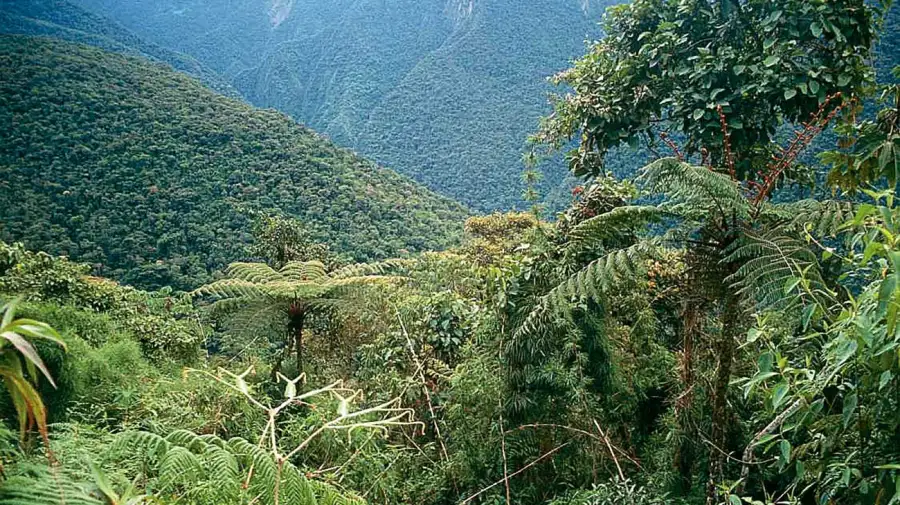 Tucuman en 1816 yungas 08072025