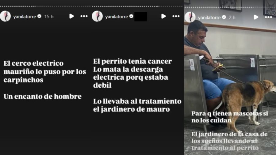 Yanina Latorre sobre la muerte del perro de La China Suárez 2