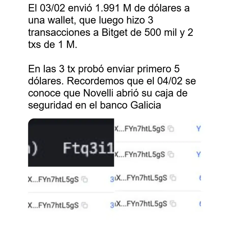Denuncia Fernando Molina Caso Libra 3