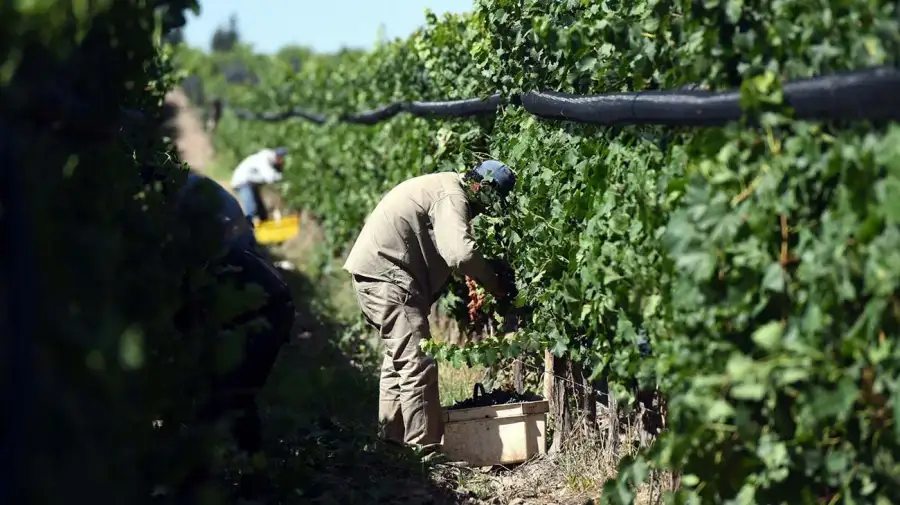 Trabajadores Rurales 10072025