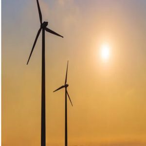 0810_parque eólico austral