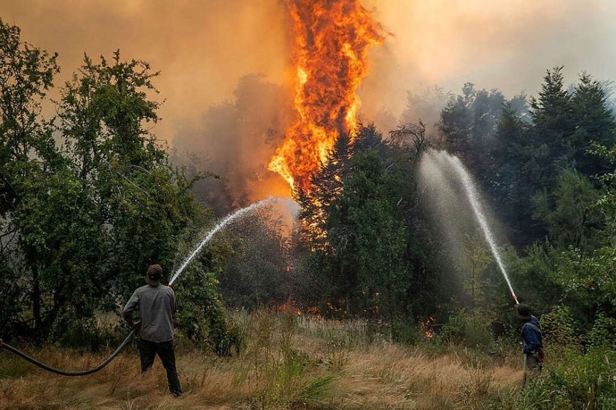 Incendios y Desmontes