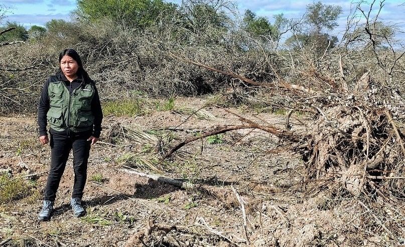 Incendios y Desmontes