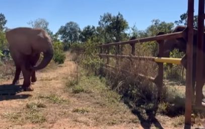  Kenya y Pupy 