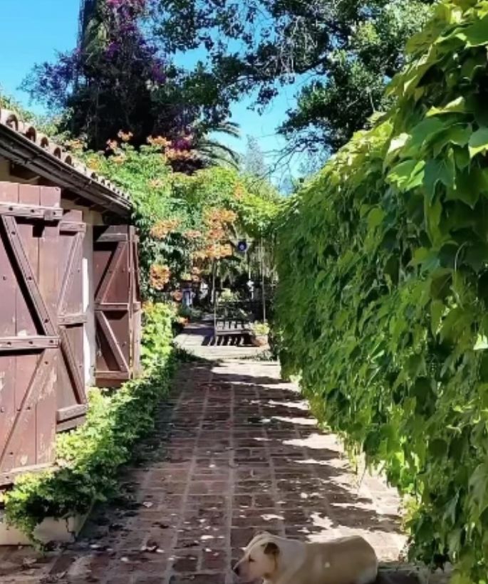 La casa de Osvaldo Laport