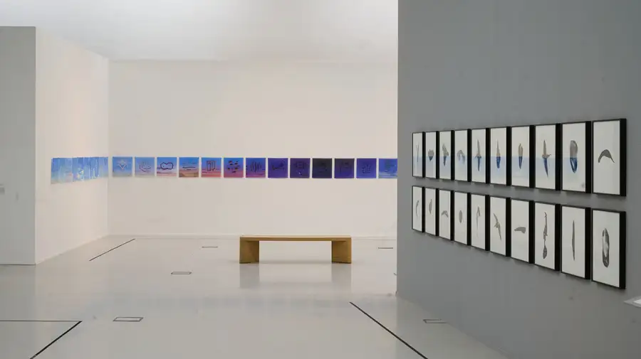 Bienalsur Mar del Plata 14072025