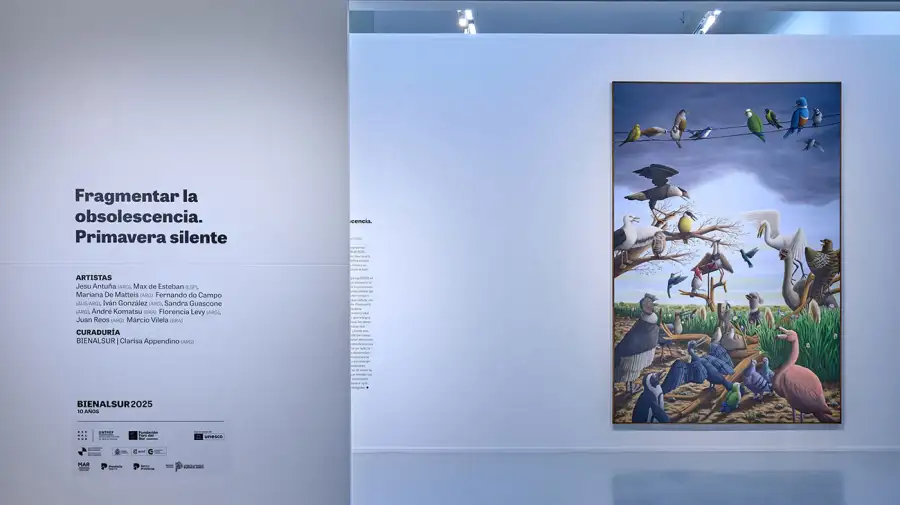 Bienalsur Mar del Plata 14072025