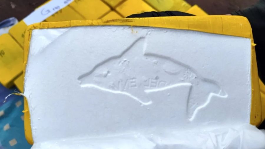 Incautaron un camión con 172 kilos de cocaína en Chaco 20250714