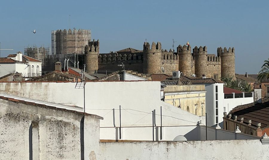 0715_zafra