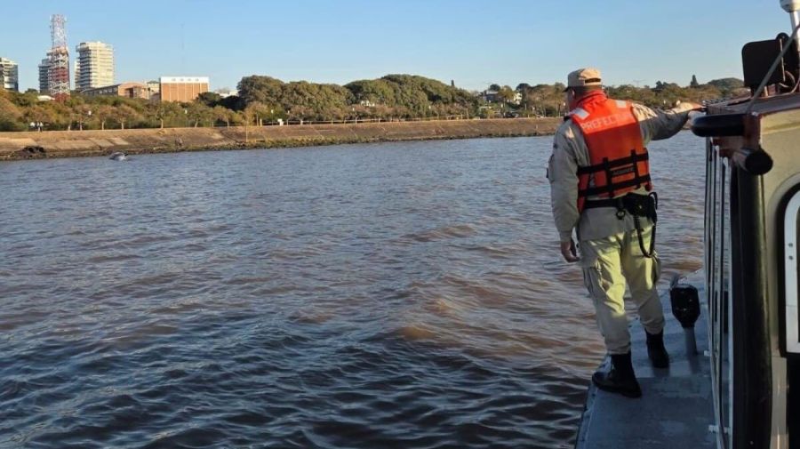 Ballena encallada en Costanera