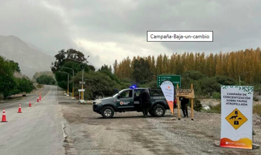 1607_aplicación animales