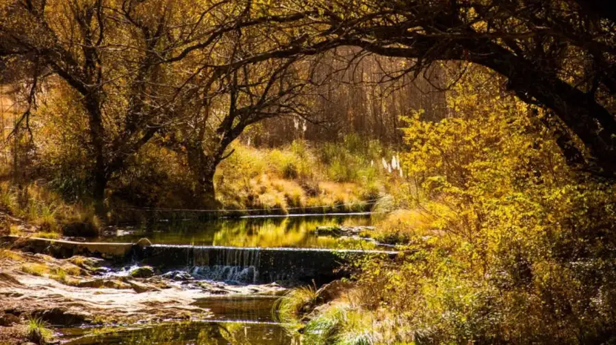 Pepitas de oro en la corriente de ríos y arroyos argentinos 20250716