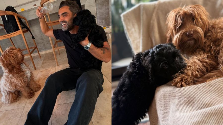 Peluca Brusca junto a sus mascotas