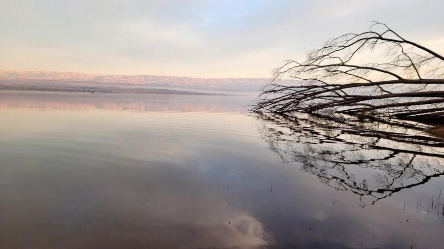 2107_molinos