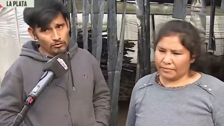 La Plata: hablaron los dueños de los perros que habrían atacado al bebé 20250722