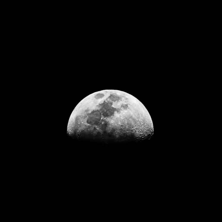 Luna Nueva