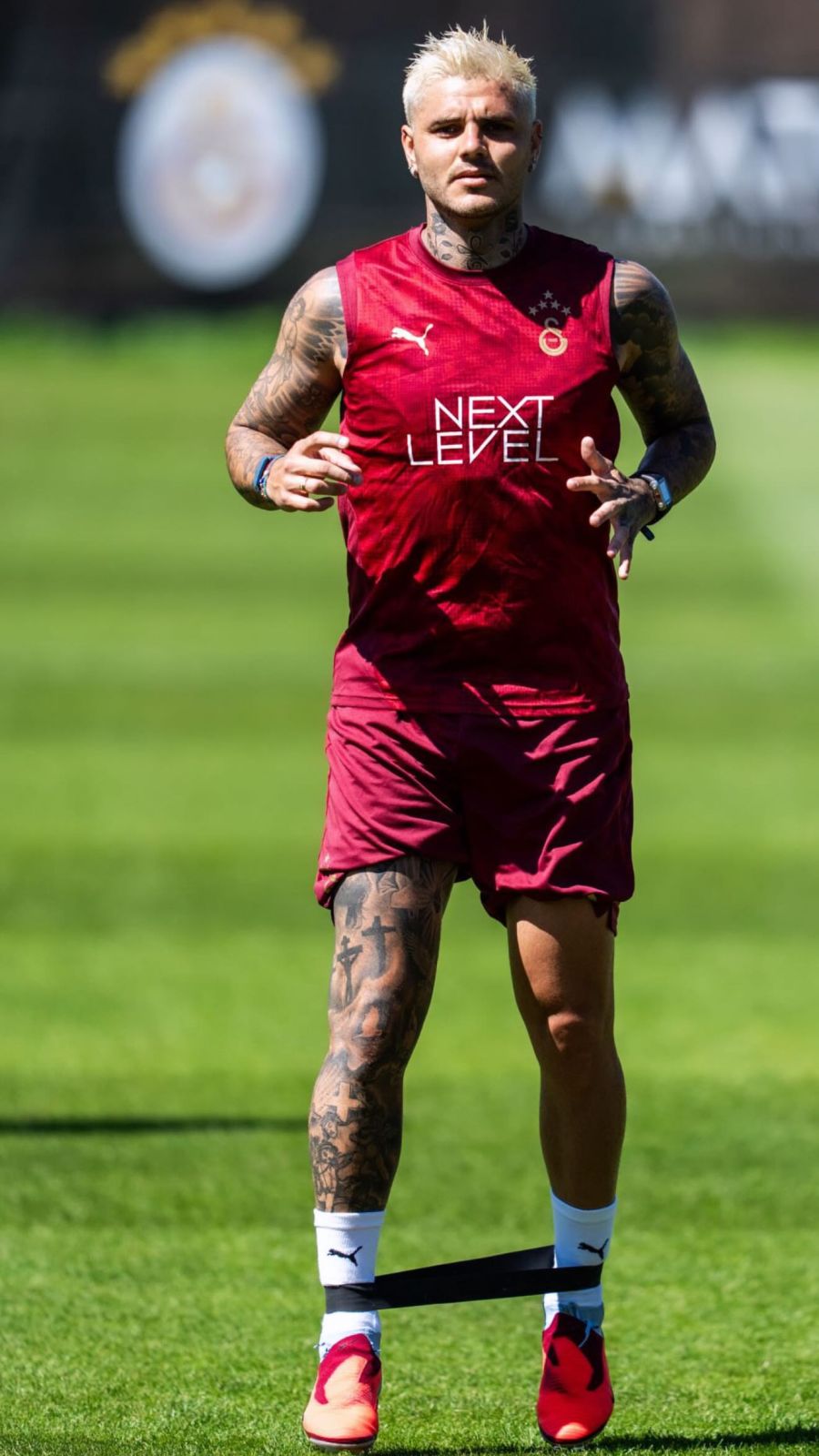 Mauro Icardi