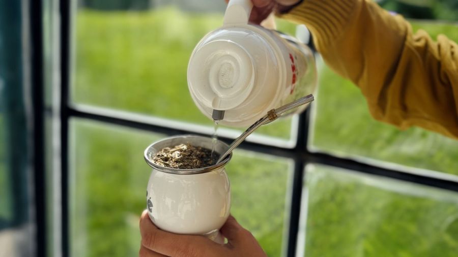 Yerba Mate 