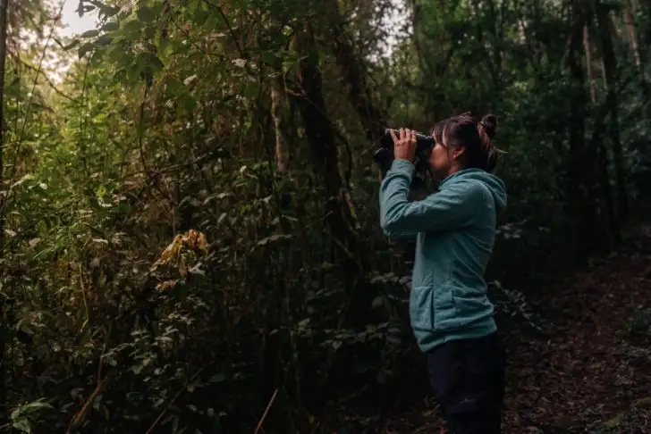 24-07-2025 avistaje de aves Misiones Volar 25