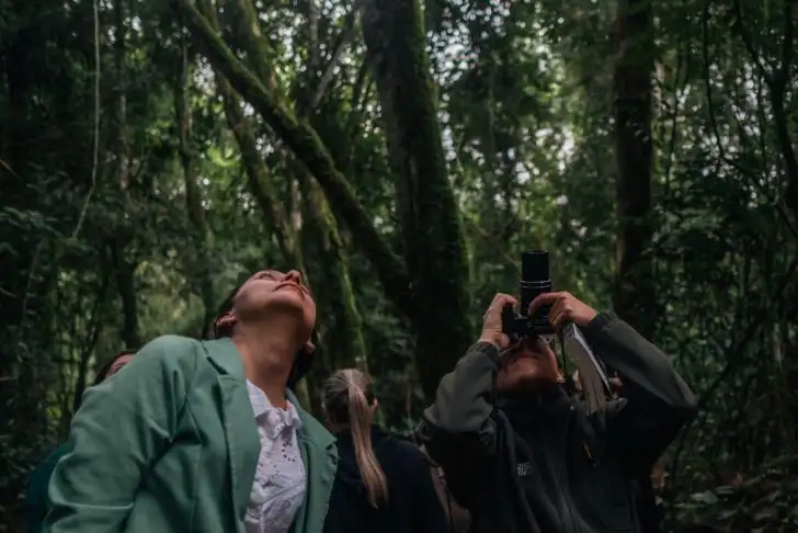 24-07-2025 avistaje de aves Misiones Volar 25