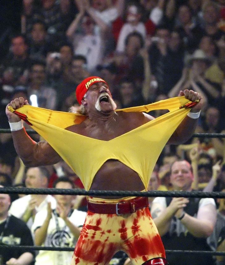 Hulk Hogan
