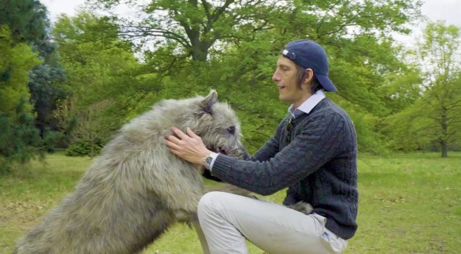 El perro de Iván de Pineda