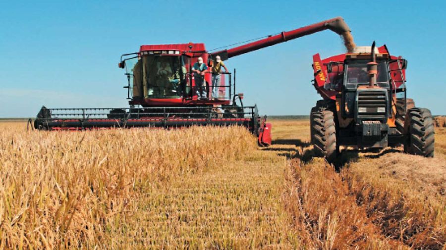 27_07_2025_campo_cedoc_g