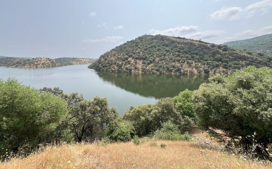 0728_monfrague