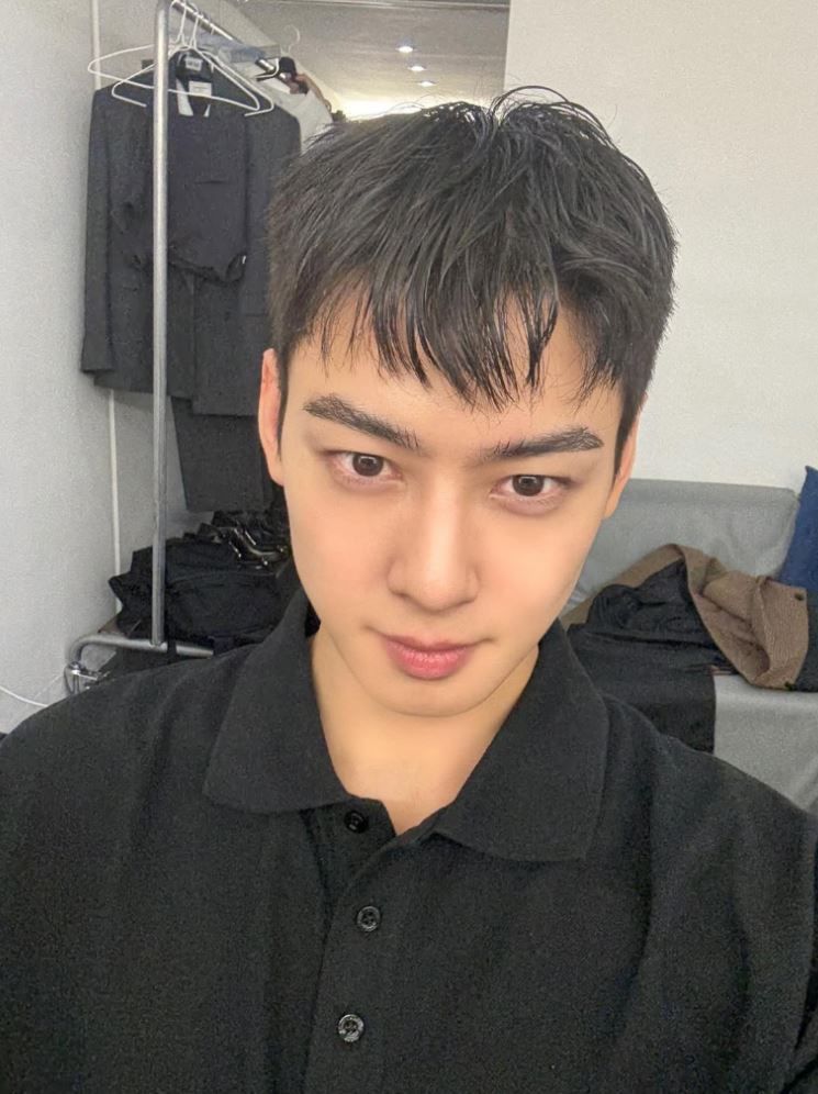 Cha Eunwoo pelo rapado antes de su alistamiento