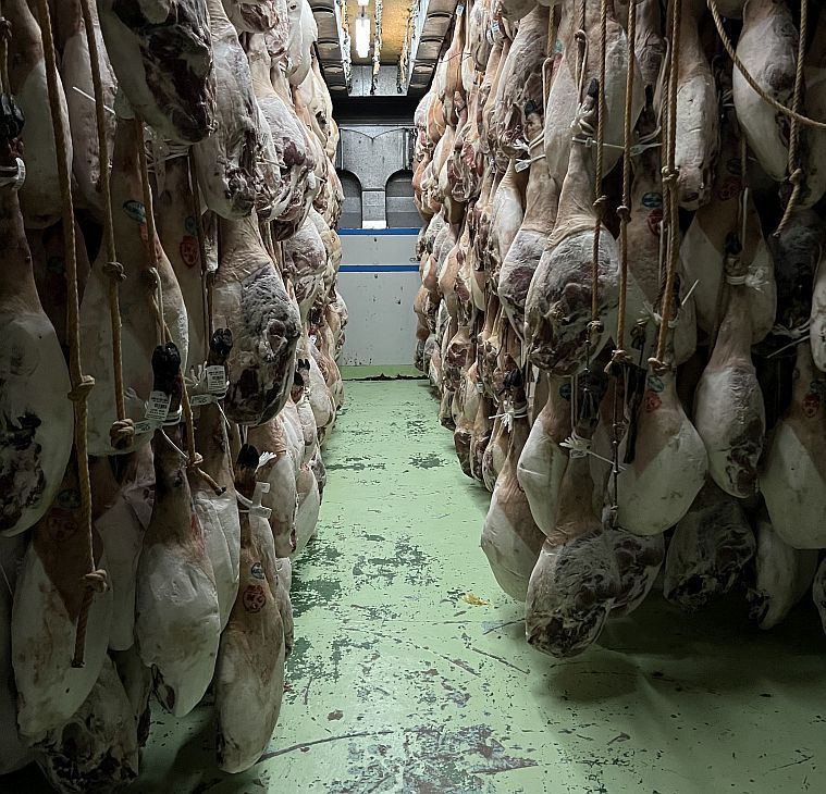 0729_jamoniberico