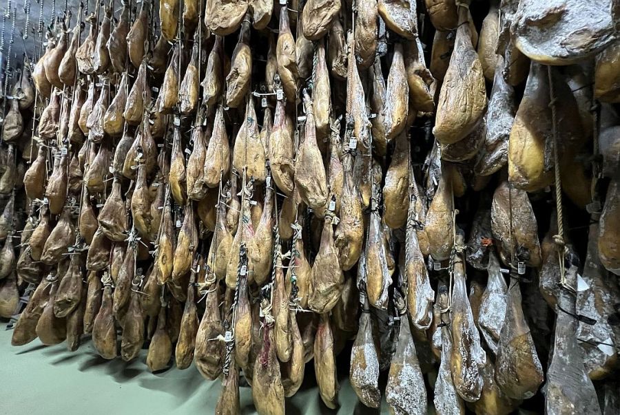0729_jamoniberico