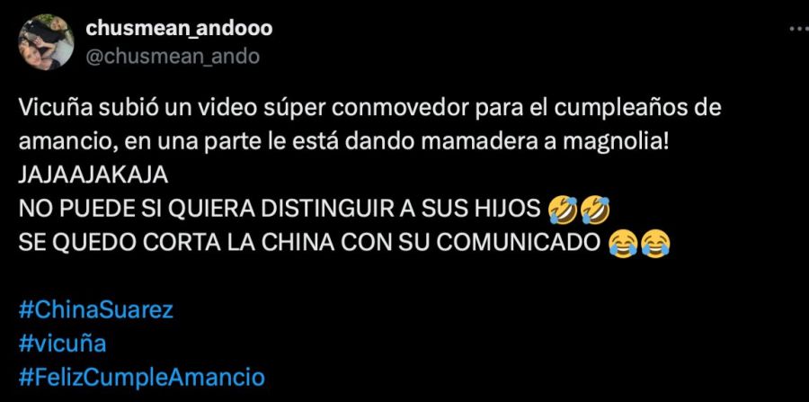 Benjamín Vicuña, Amancio Vicuña