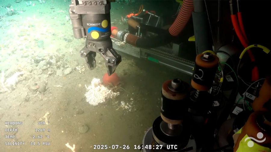 Exploración en MDQ 29072025