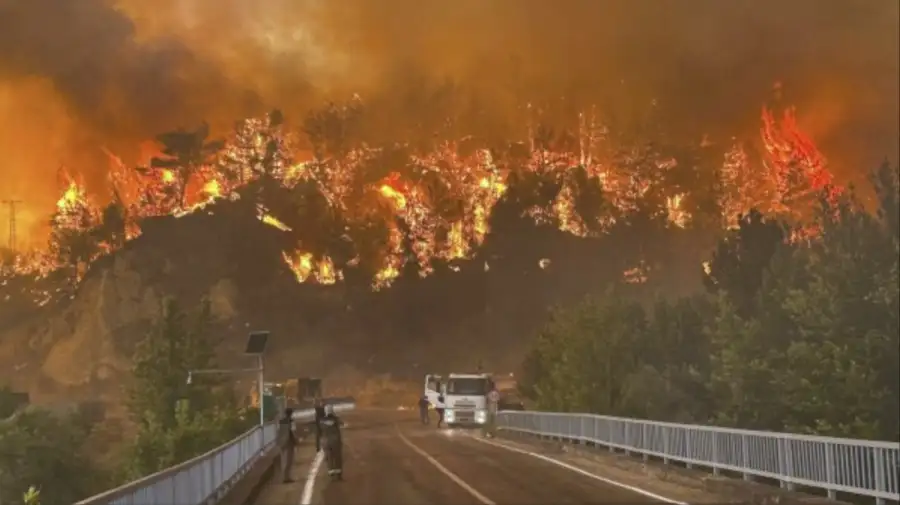 Incendio forestal en turquía