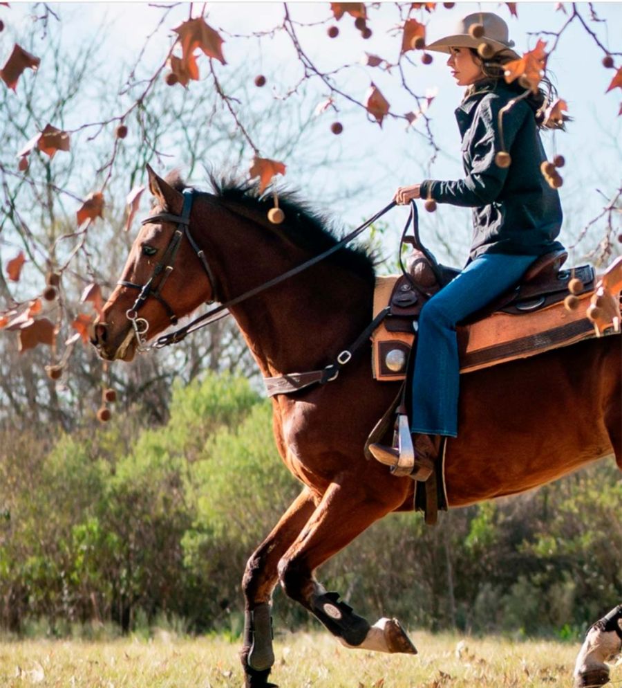 Kristi Noem Campo 29072025