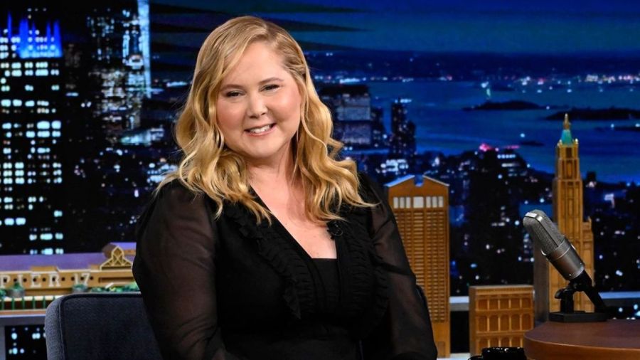 Amy Schumer