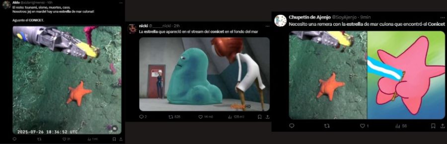 El vivo del CONICET